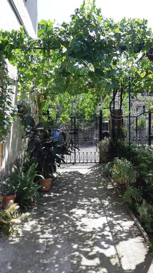 Casa Sofia - Appartamento Con Parcheggio Riservato Terni Zewnętrze zdjęcie